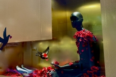 ‘Christmas-windows-display008