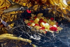 ‘Christmas-windows-display010