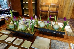 岳中爽果展002