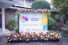 『FLOWERS OF COLOMBIA』001