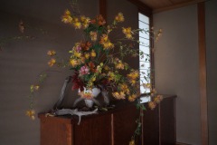 『FLOWERS OF COLOMBIA』006