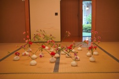 『FLOWERS OF COLOMBIA』008