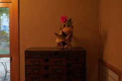 『FLOWERS OF COLOMBIA』009