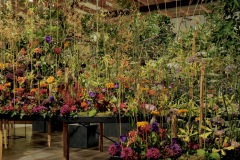 「FLORIADE2022 日本展示館作品」004