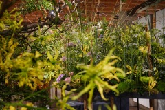 「FLORIADE2022 日本展示館作品」007