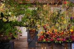「FLORIADE2022 日本展示館作品」008