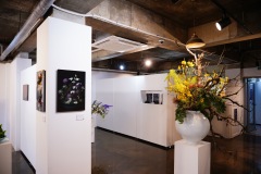 『SYO SOGABE EXHIBITION in jeju』002