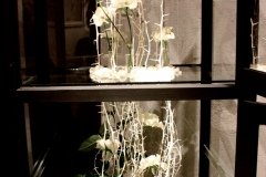 個展華と煌めきの世界002