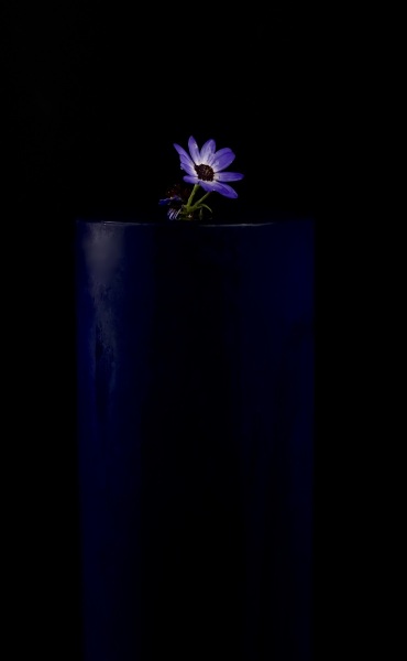 Title：『HOPE』