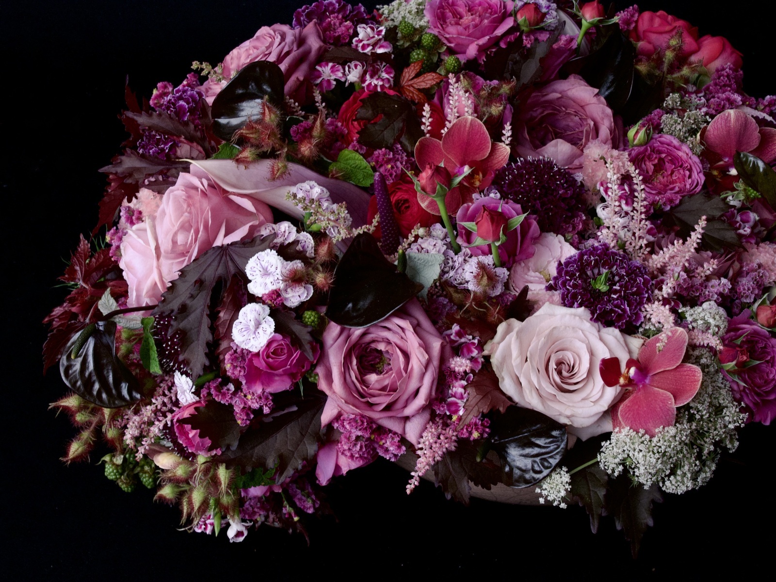 pyoru■5フラワー、ロックローズ、アスペン、スクレランサス、ウィロー pyoru□5フラワー、ロックローズ、アスペン、スクレランサス