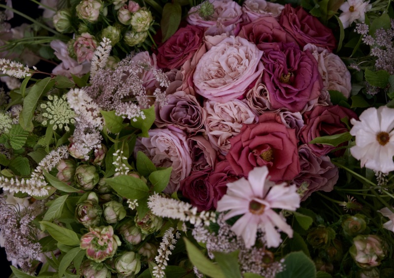 [ Rose Expo FUKUYAMA 2025パフォーマンス作品 ]