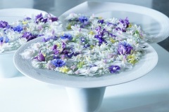 ［SYO SOGABE FLOWER  EXHIBITION in Jeju 展示作品］