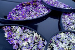 ［ SYO SOGABE FLOWER EXBITION in 上海 ］