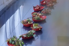 ［ SYO SOGABE FLOWER EXBITION in 上海 ］