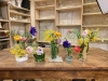 1.24-NHK「趣味の園芸」出演-テーマ「春の庭の花」