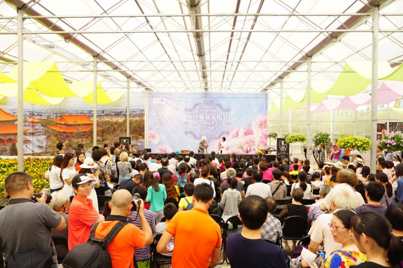 10.6-「菊-festival」01