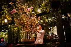 『バラ祭り』@南青山  青山フラワーマーケット GREEN HOUSE