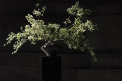 『轮回（巡る/輪廻）』