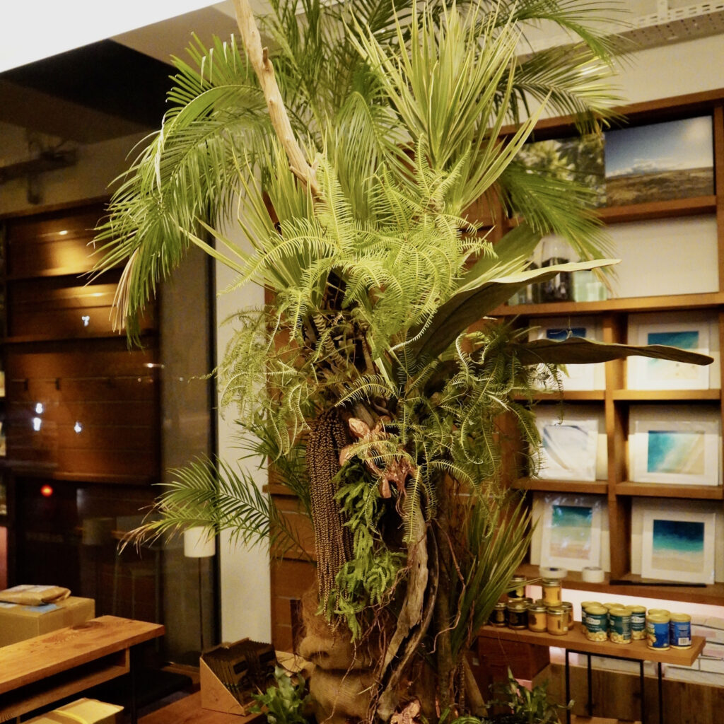 ハワイ島フェア@蔦屋書店(代官山店)